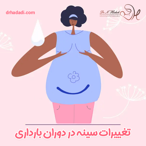 تغییرات سینه در دوران بارداری | راهنمای ماه به ماه