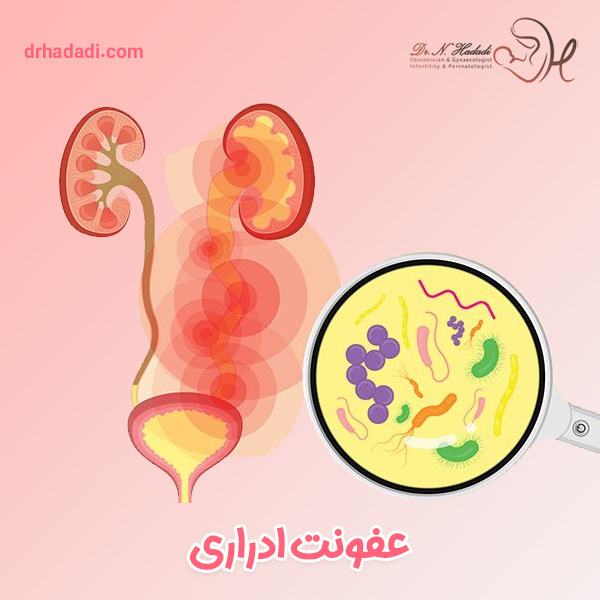 عفونت ادراری - دکتر نگین حدادی